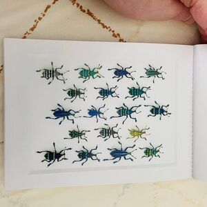 Postcard -Walking Weevils from Biophilia: The Art of Christopher Marley